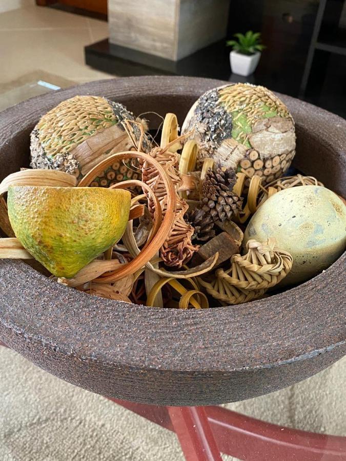 Cantinho Do Conego 新弗里堡 外观 照片
